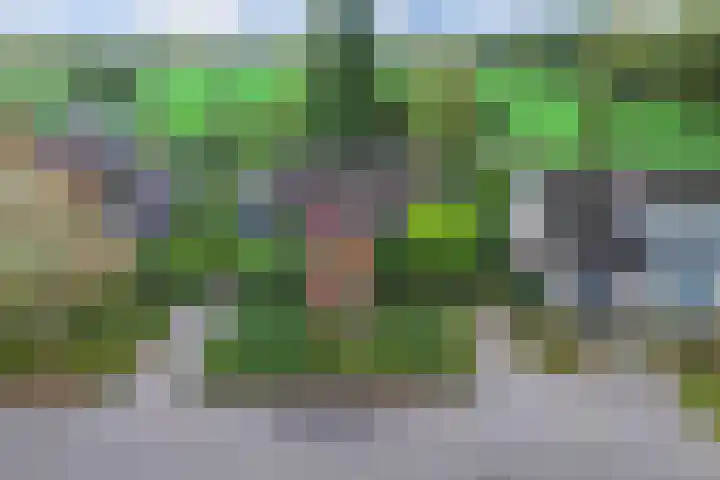 Paaskamp 17 Noordwolde thumbnail 50