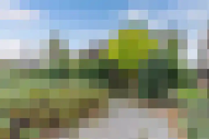 Paaskamp 17 Noordwolde thumbnail 7