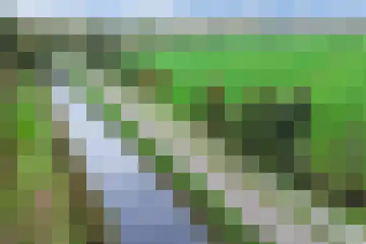 Paaskamp 17 Noordwolde thumbnail 8