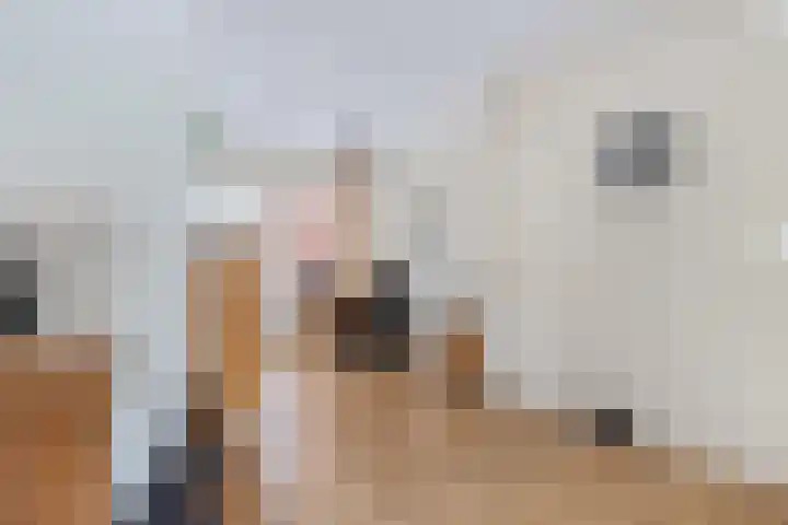 Paaskamp 2 Noordwolde thumbnail 10