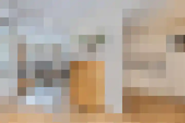 Paaskamp 2 Noordwolde thumbnail 13