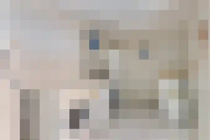 Paaskamp 2 Noordwolde thumbnail 16