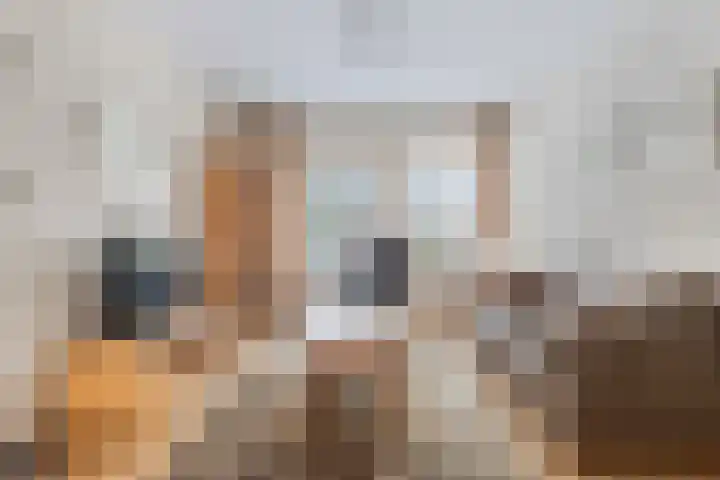 Paaskamp 2 Noordwolde thumbnail 7