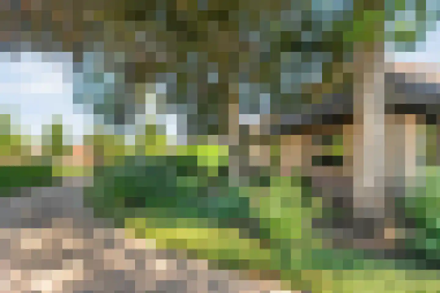Paaskamp 9 Noordwolde thumbnail 12