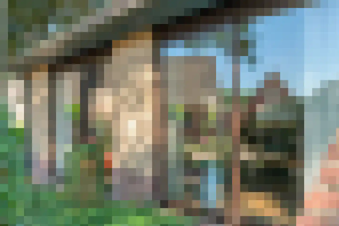 Paaskamp 9 Noordwolde thumbnail 13