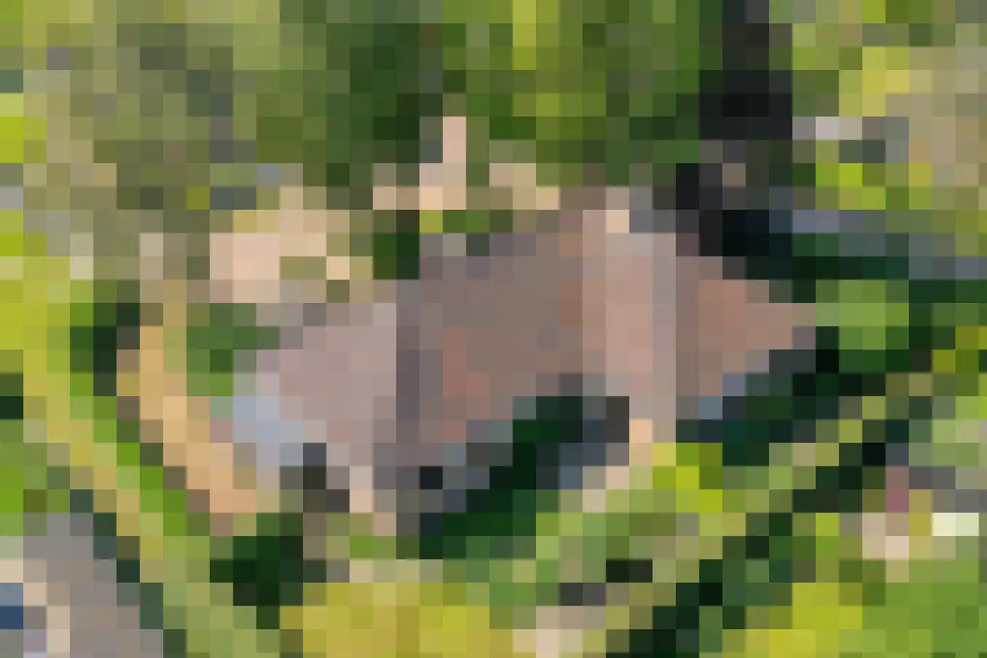 Paaskamp 9 Noordwolde thumbnail 4