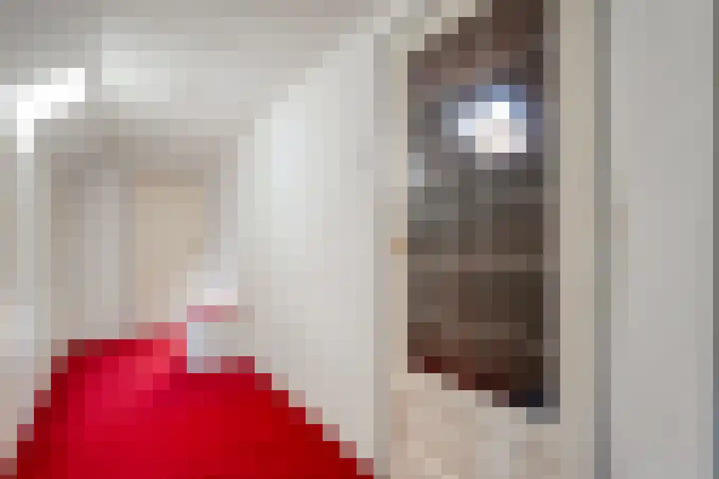 Paaskamp 9 Noordwolde thumbnail 43