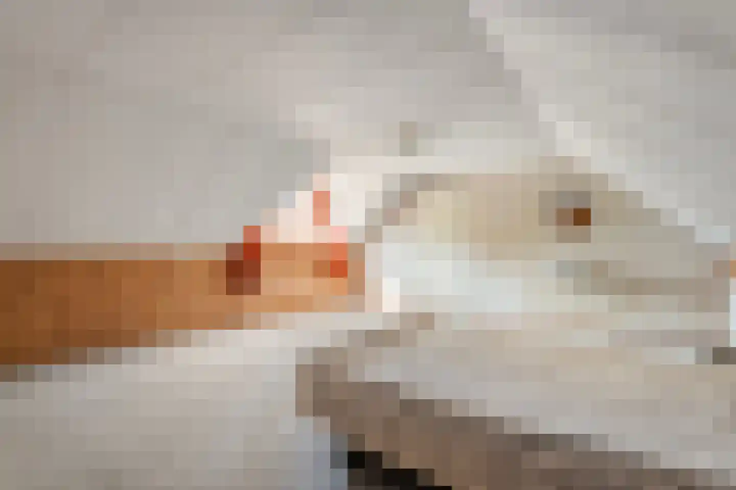 Paaskamp 9 Noordwolde thumbnail 51