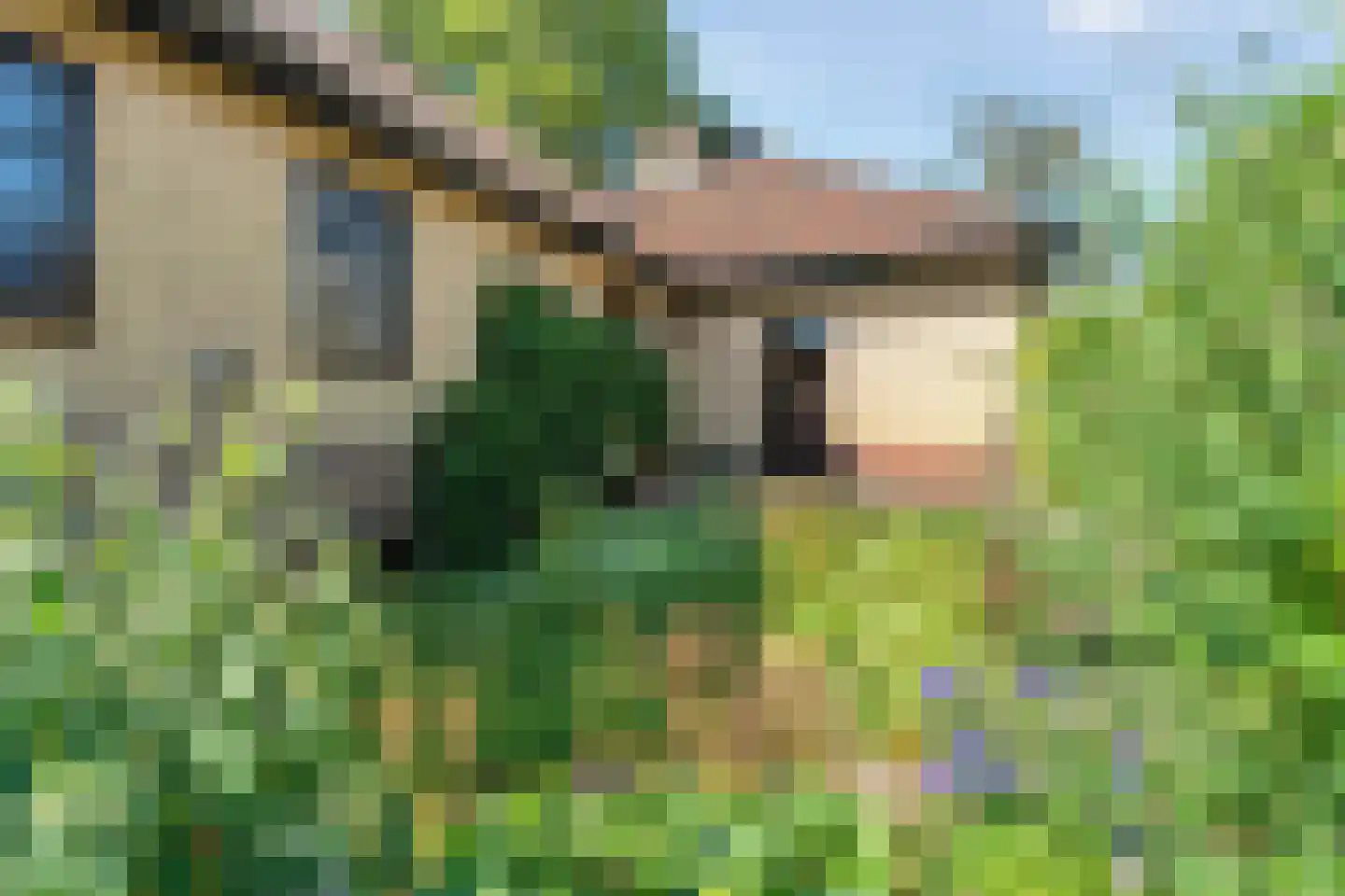 Paaskamp 9 Noordwolde thumbnail 54