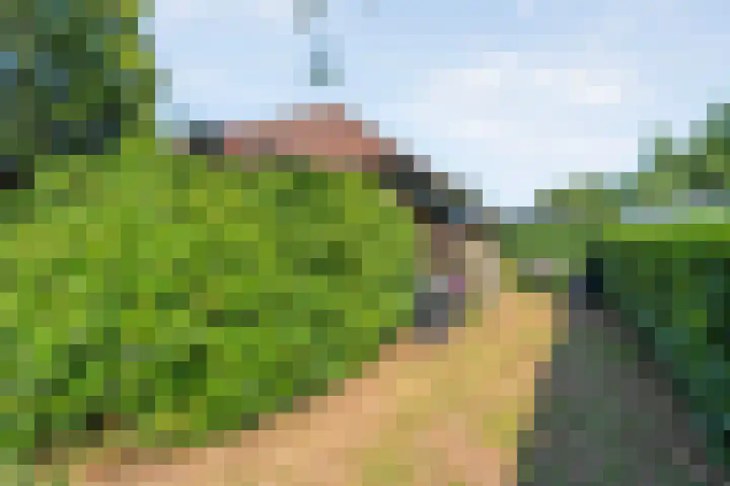 Paaskamp 9 Noordwolde thumbnail 55