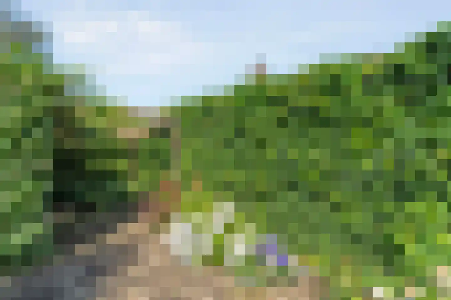 Paaskamp 9 Noordwolde thumbnail 58