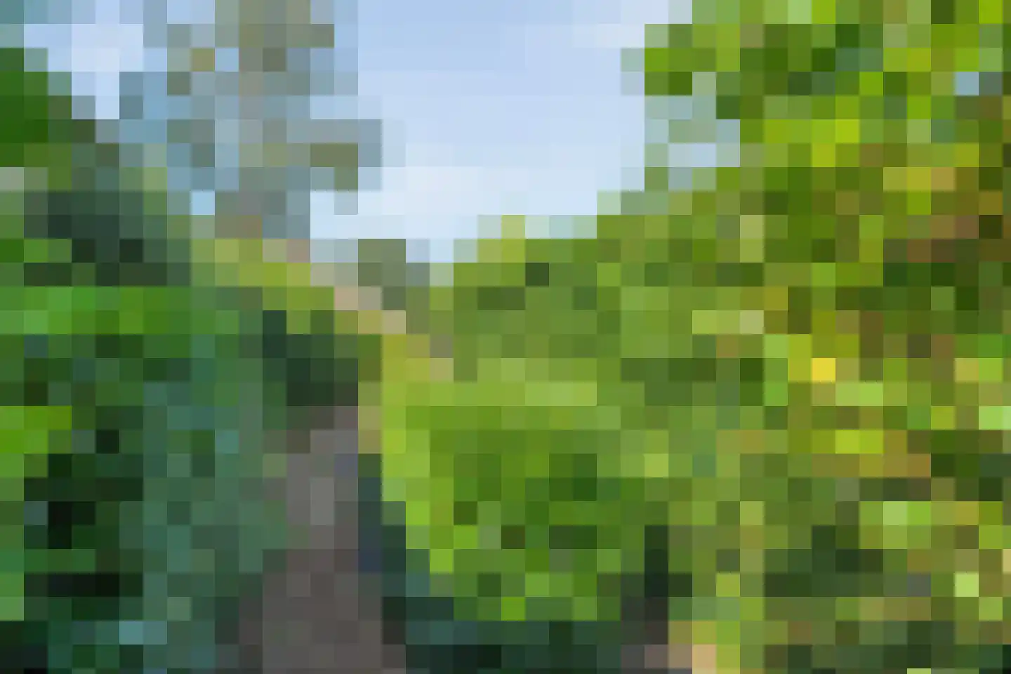 Paaskamp 9 Noordwolde thumbnail 59
