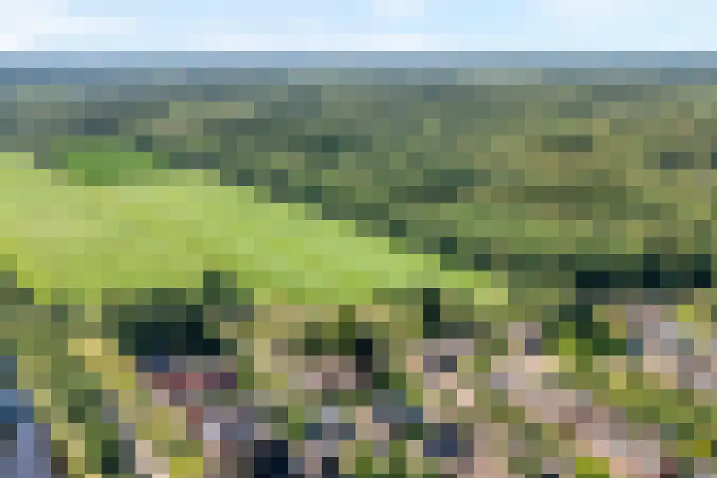 Paaskamp 9 Noordwolde thumbnail 8