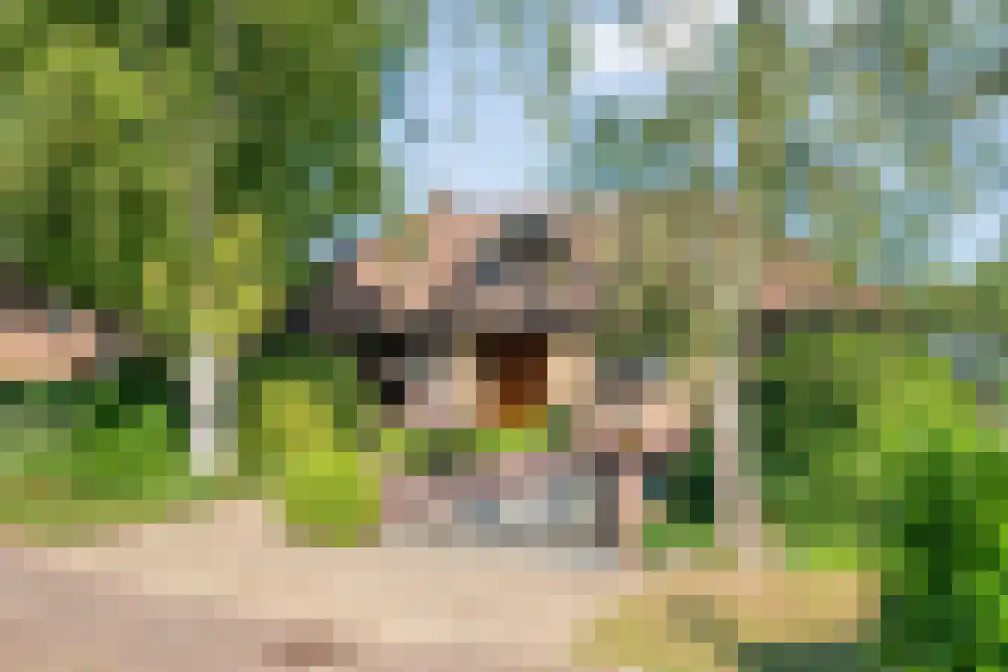 Paaskamp 9 Noordwolde thumbnail 9