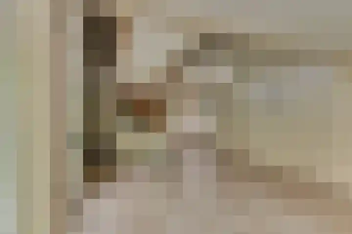 Paaslohof 13 Hierden thumbnail 17