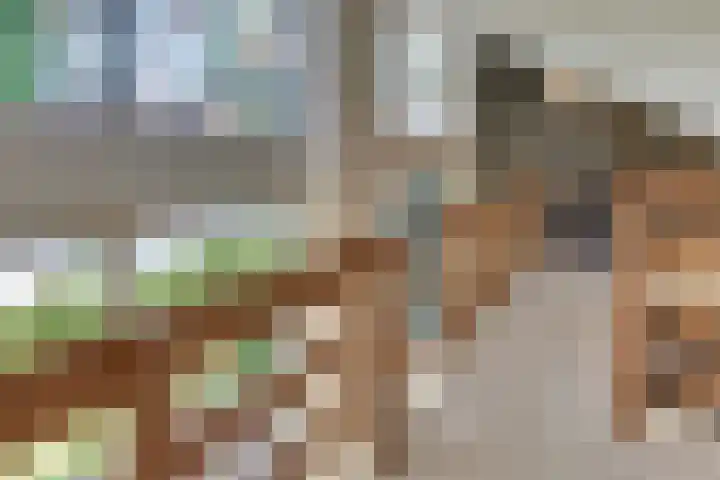 Paaslohof 13 Hierden thumbnail 29