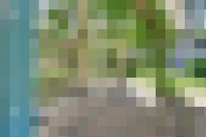 Paaslohof 13 Hierden thumbnail 33