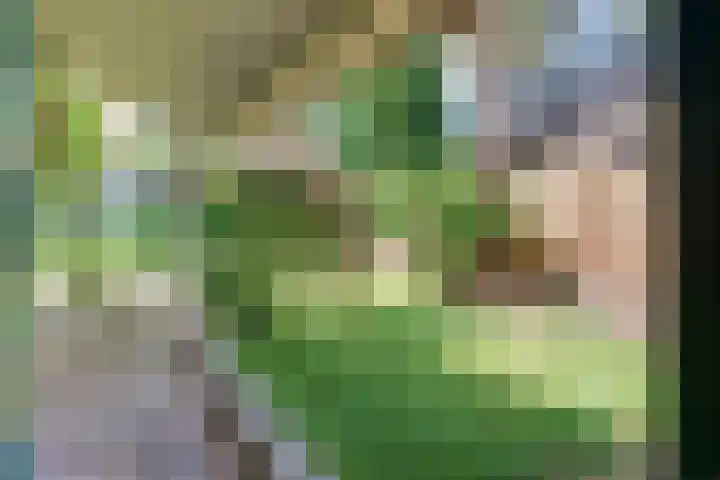 Paaslohof 13 Hierden thumbnail 37