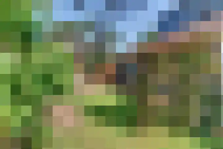 Paaslohof 13 Hierden thumbnail 38