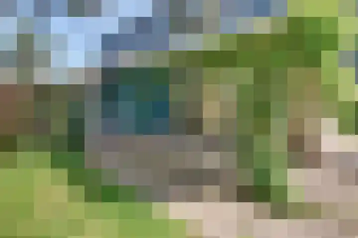 Paaslohof 13 Hierden thumbnail 39