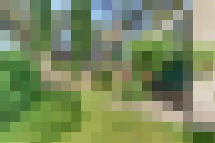 Paaslohof 13 Hierden thumbnail 4