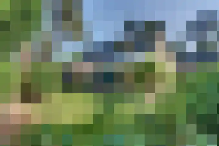 Paaslohof 13 Hierden thumbnail 41