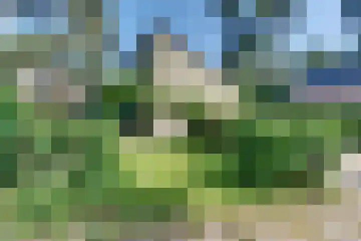 Paaslohof 13 Hierden thumbnail 42