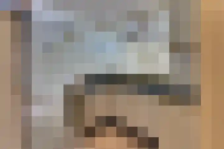 Paaslohof 13 Hierden thumbnail 7