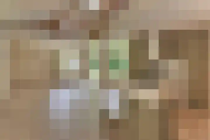 Paaslohof 13 Hierden thumbnail 8