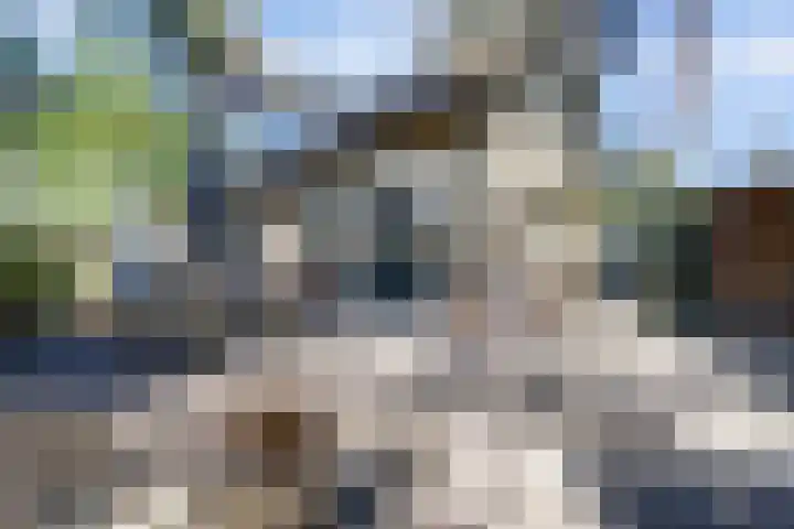 Paaslohof 15 Hierden thumbnail 35