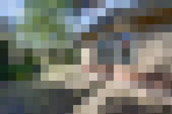Paaslohof 15 Hierden thumbnail 37