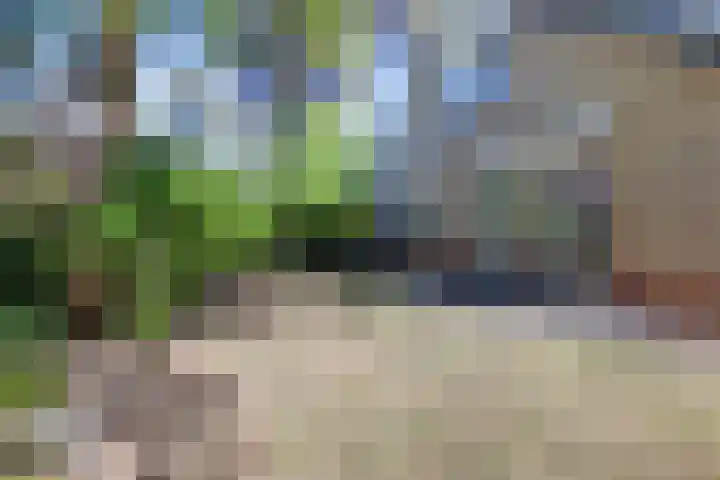 Paaslohof 15 Hierden thumbnail 39