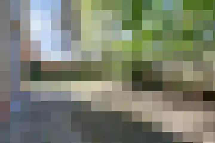 Paaslohof 15 Hierden thumbnail 41