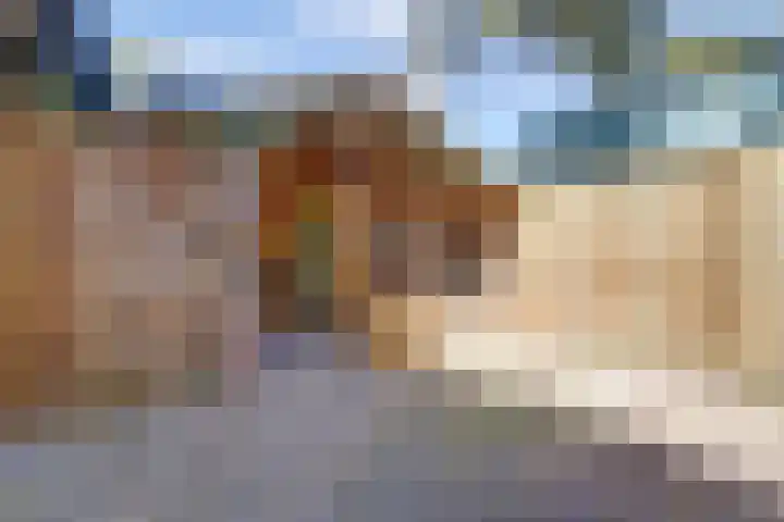 Paaslohof 15 Hierden thumbnail 44
