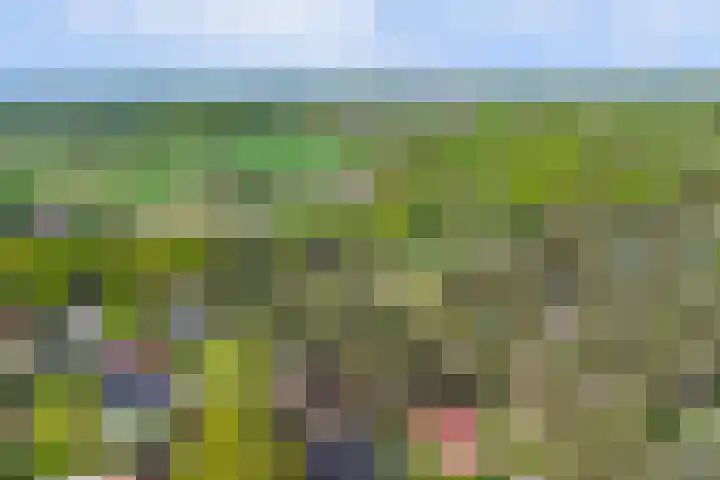 Paaslohof 15 Hierden thumbnail 45