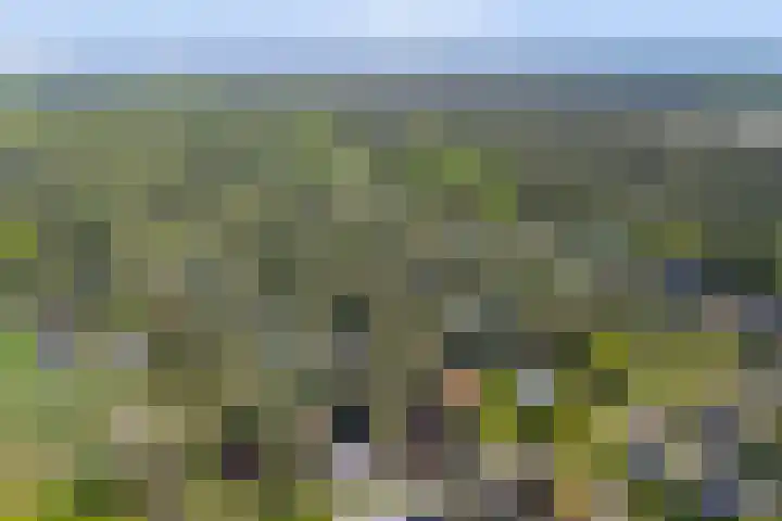 Paaslohof 15 Hierden thumbnail 47