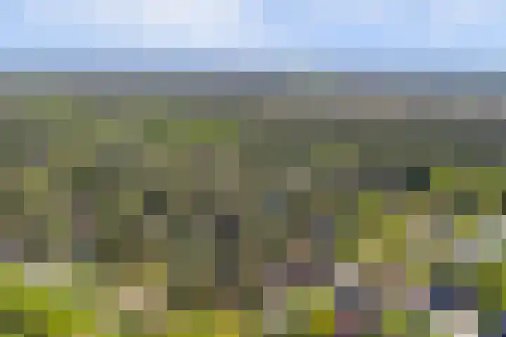 Paaslohof 15 Hierden thumbnail 48