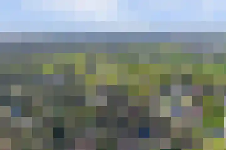 Paaslohof 15 Hierden thumbnail 49
