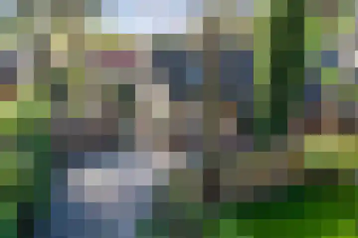 Paaslohof 15 Hierden thumbnail 50