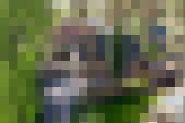 Paaslohof 15 Hierden thumbnail 51
