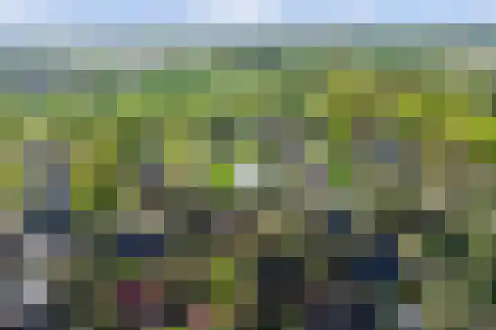 Paaslohof 15 Hierden thumbnail 52