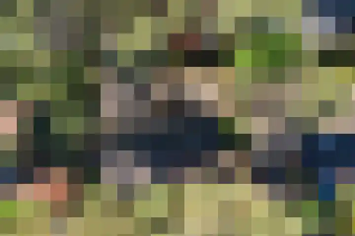 Paaslohof 15 Hierden thumbnail 53