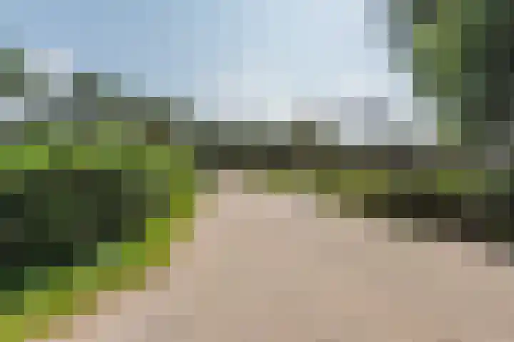 Paaslohof 19 Hierden thumbnail 23