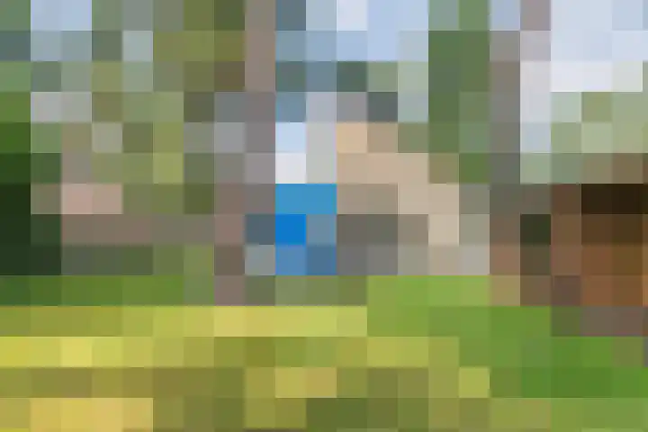 Paaslohof 19 Hierden thumbnail 27