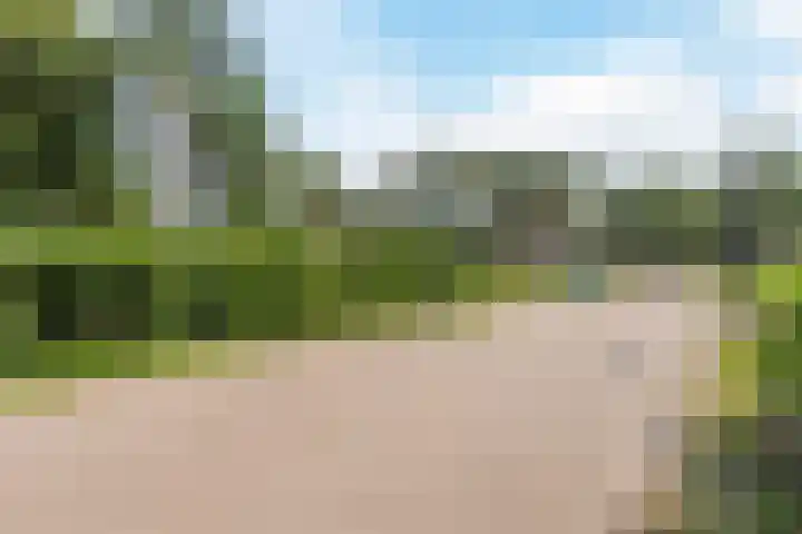 Paaslohof 19 Hierden thumbnail 29