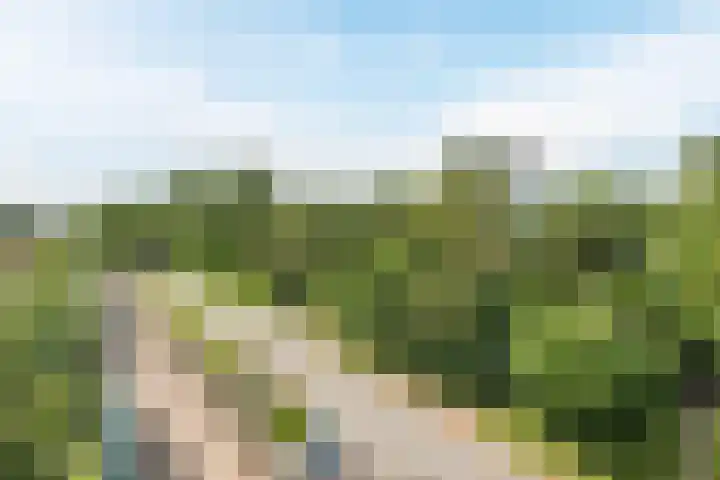Paaslohof 19 Hierden thumbnail 32