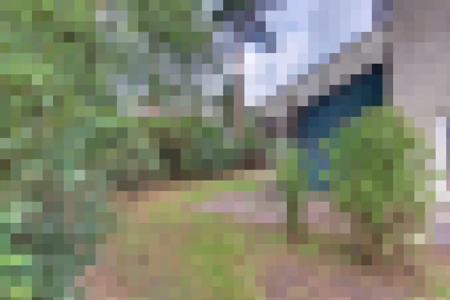 Paaslohof 3 Hierden thumbnail 25