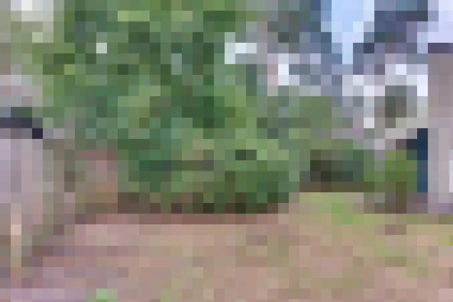 Paaslohof 3 Hierden thumbnail 30
