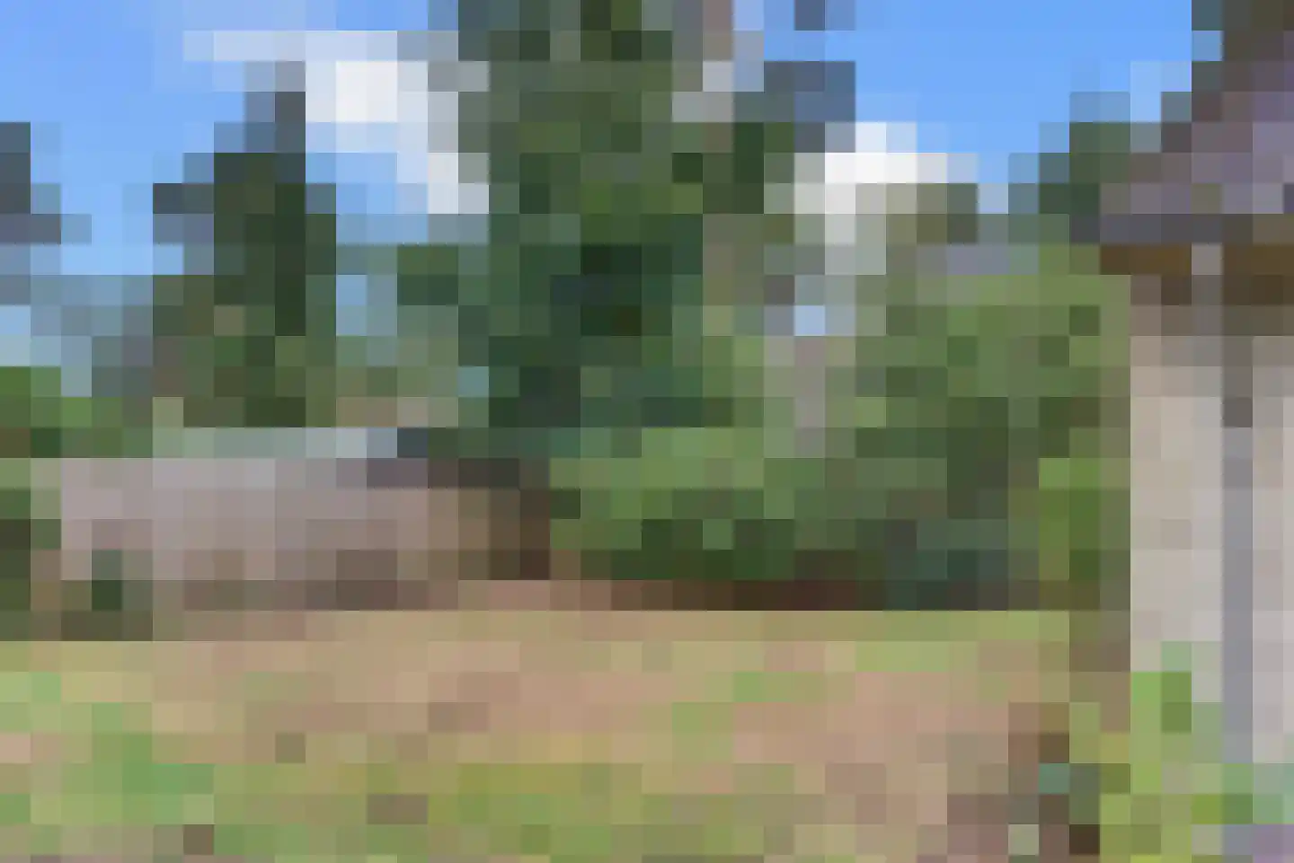 Paaslohof 3 Hierden thumbnail 31