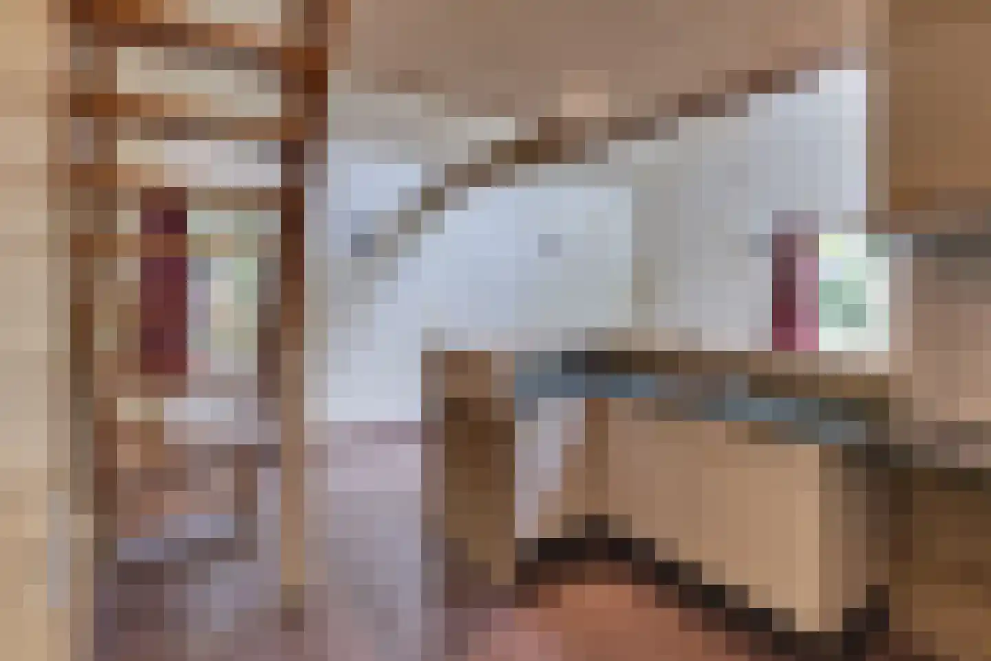 Paaslohof 3 Hierden thumbnail 8